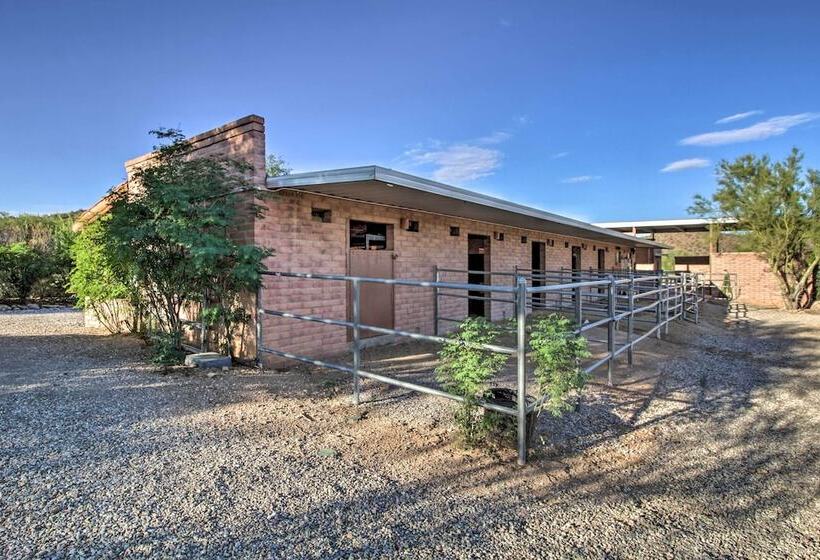 Tucson Home   Hiking Trail Access On Site!