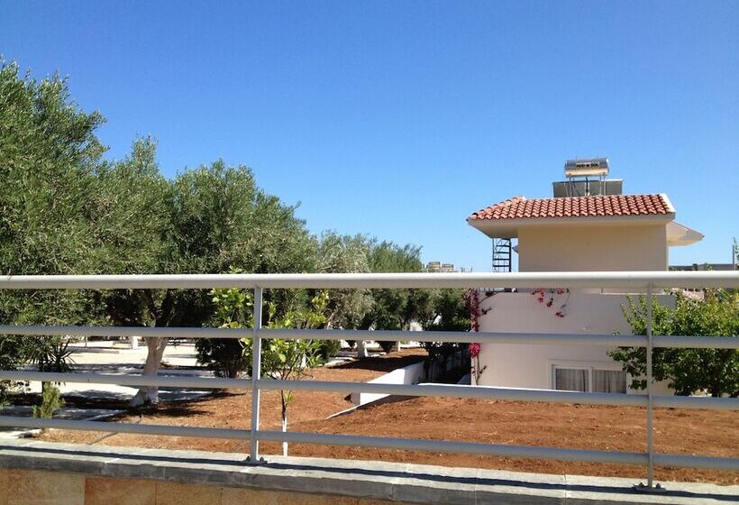 Amaryllis Front Beach