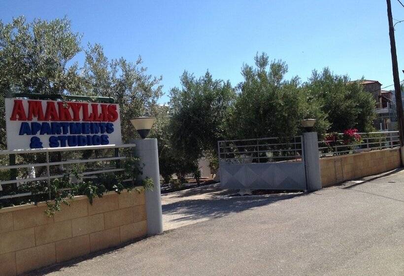 Amaryllis Front Beach