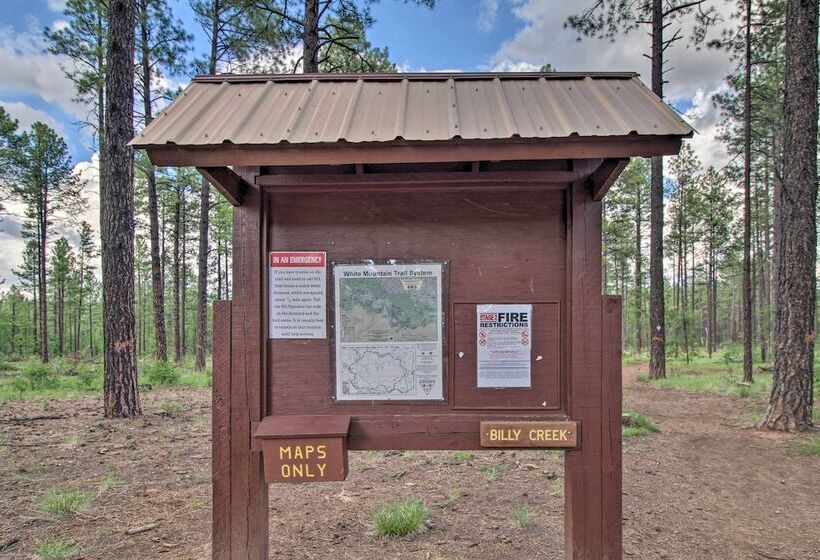 Game Room & Wooded Views: Pinetop Cabin!
