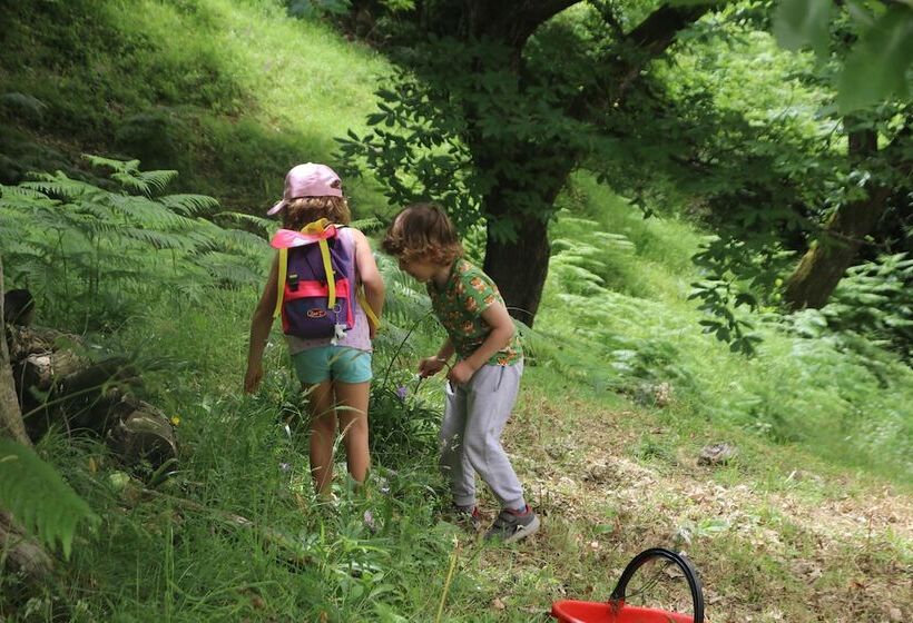 민박 Agriturismo Il Regno Del Marrone