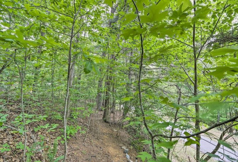 Bumblebee Cottage Murphy Retreat W/ Hot Tub