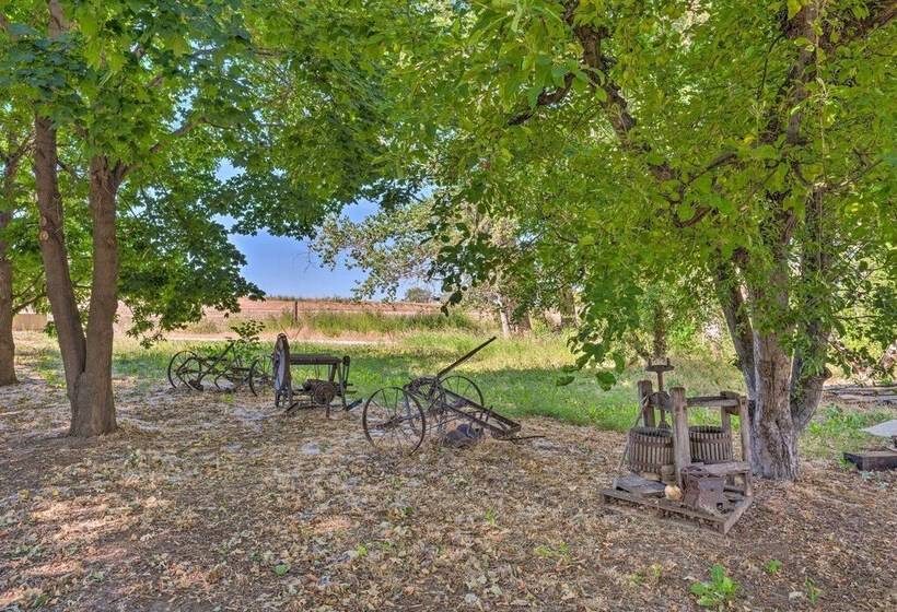 Caldwell Country Home On Quiet Acreage