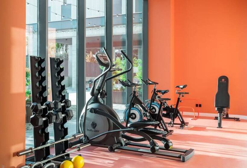 Estudios Y Habitaciones Modernas En Pamplona, Sk