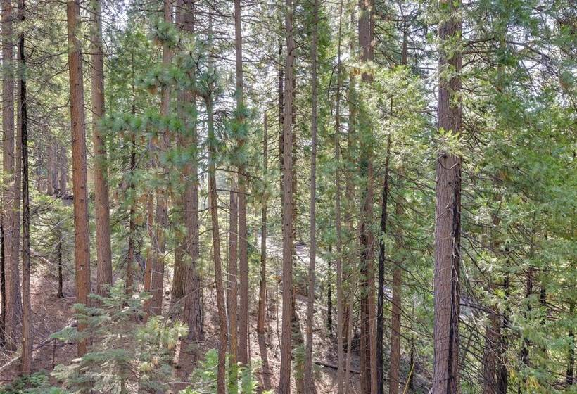 Forested Cold Springs Cabin W/ Wood Burning Stove!