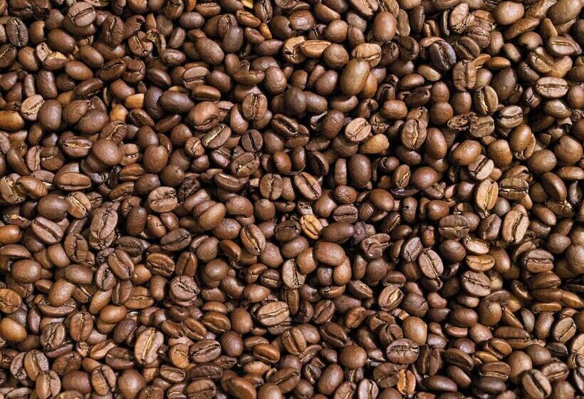 Greet Hotel Cernay Mulhouse