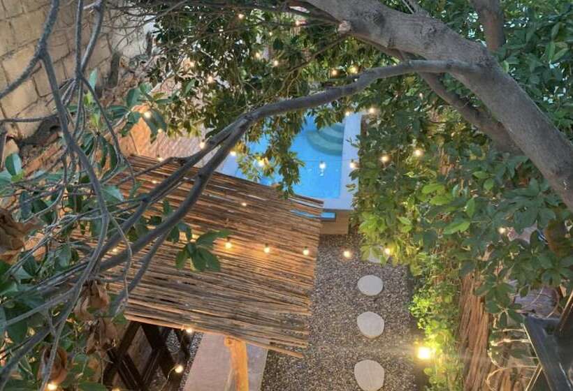 Hostel Boutique Musa Paradisiaca