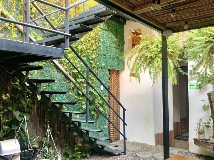 Hostel Boutique Musa Paradisiaca