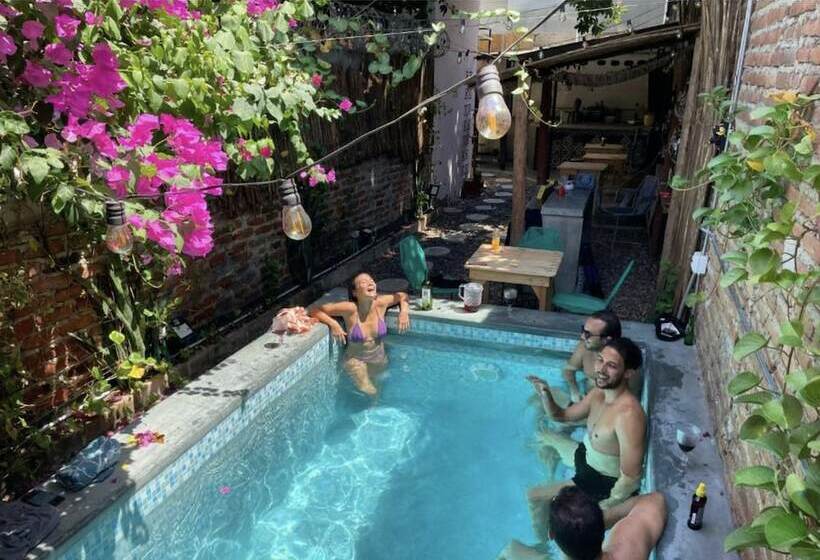 Hostel Boutique Musa Paradisiaca