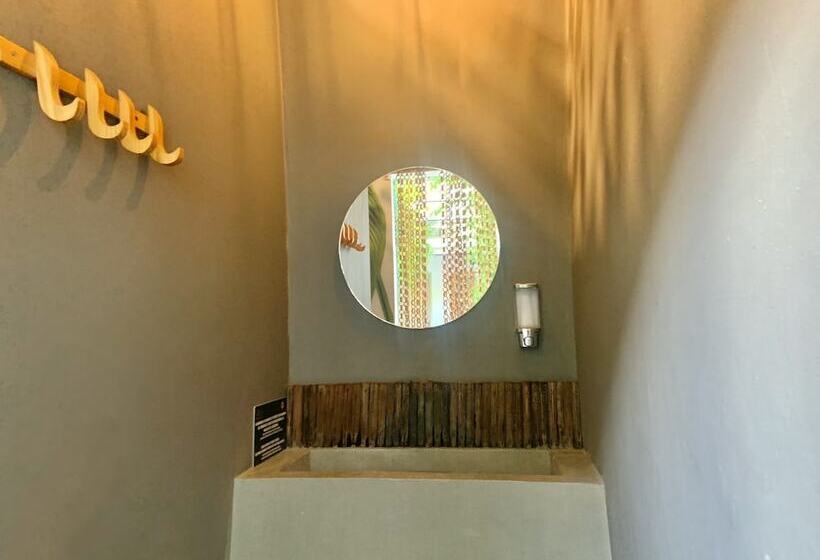 Hostel Boutique Musa Paradisiaca