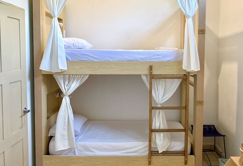 Hostel Boutique Musa Paradisiaca