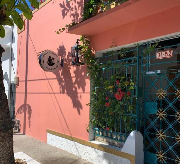 Hostel Boutique Musa Paradisiaca