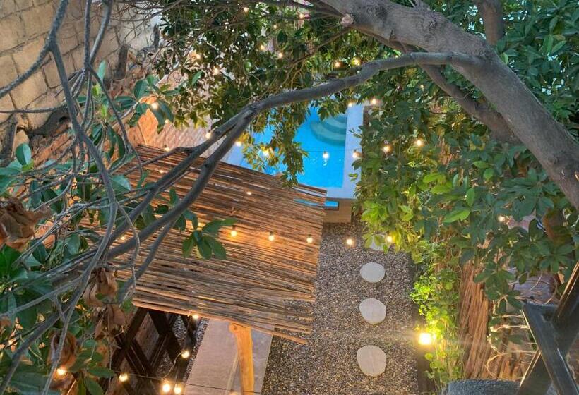 Hostel Boutique Musa Paradisiaca