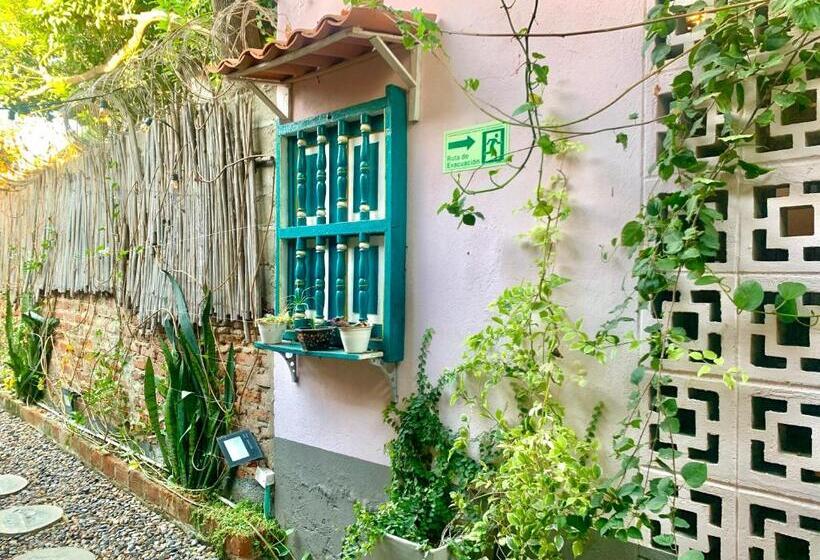 Hostel Boutique Musa Paradisiaca