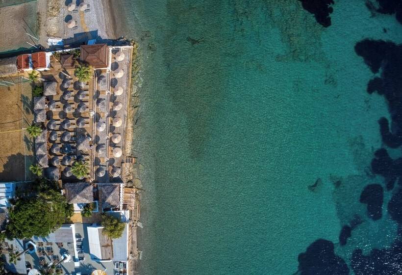 בית מלון כפרי Black And White Boho Resort