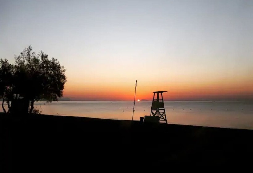 Отель Dodo's Perivolos