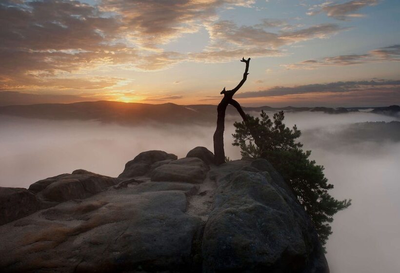 Logis Hotel Quartier 5, Sächsische Schweiz, Mit Restaurant, Café & Bar