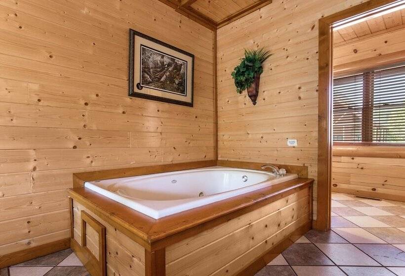 Mountain Theatre Lodge