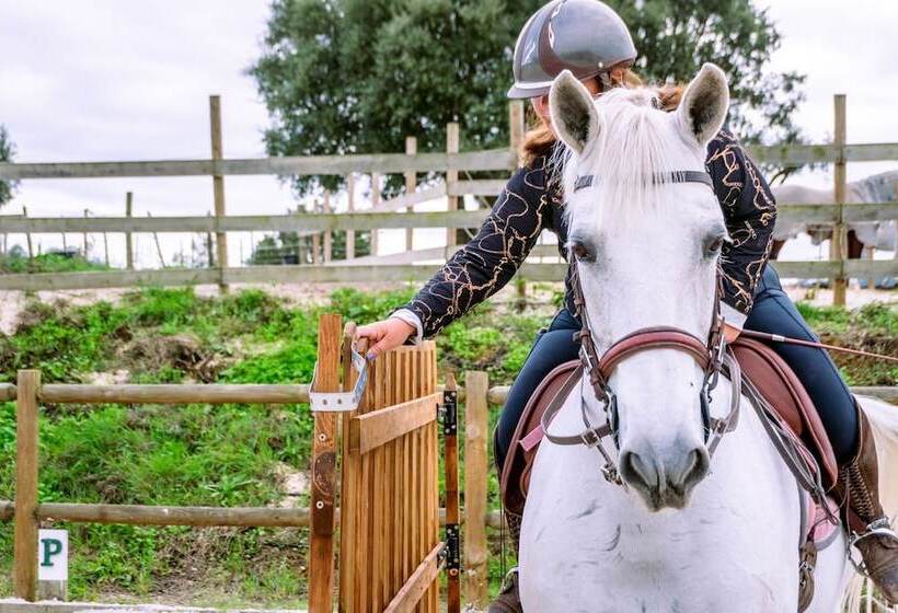 إقامة Fantastic House, Swimmingpool, Jacuzzi, Horses