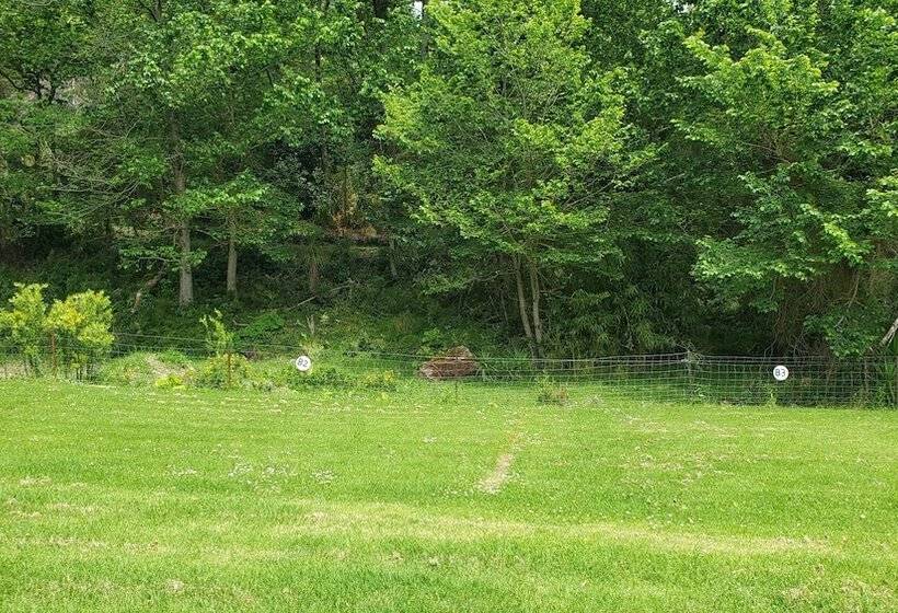 אתר נופש Dickson Holiday Park