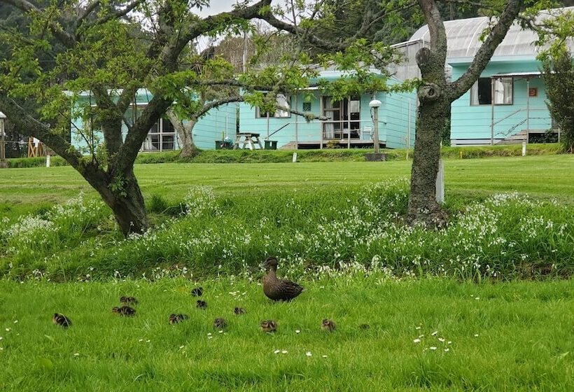 אתר נופש Dickson Holiday Park