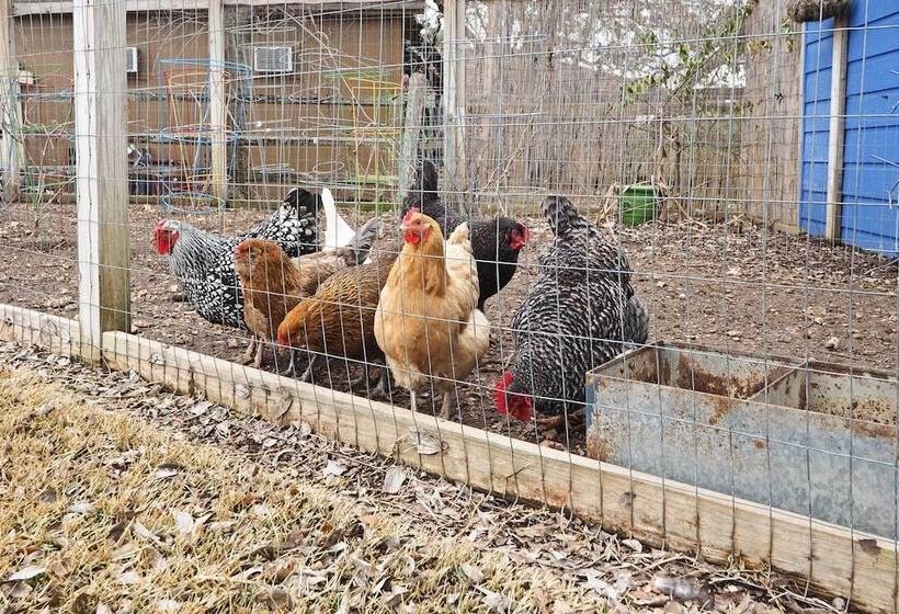 Round Rock Lakefront Home W/ Water Toys & Fire Pit