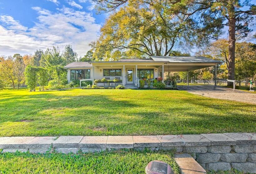 Stunning Willis Cottage On 12 Acres Of Land!