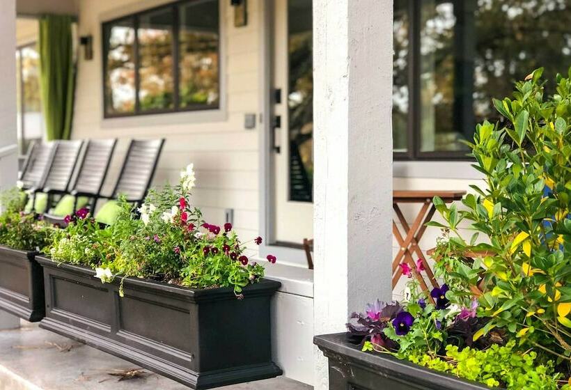 Stunning Willis Cottage On 12 Acres Of Land!