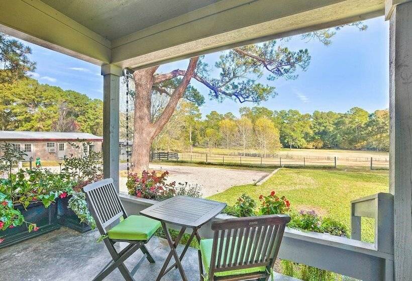 Stunning Willis Cottage On 12 Acres Of Land!