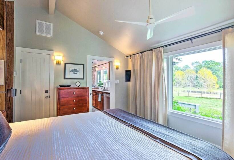 Stunning Willis Cottage On 12 Acres Of Land!