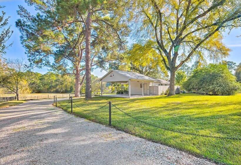 Stunning Willis Cottage On 12 Acres Of Land!