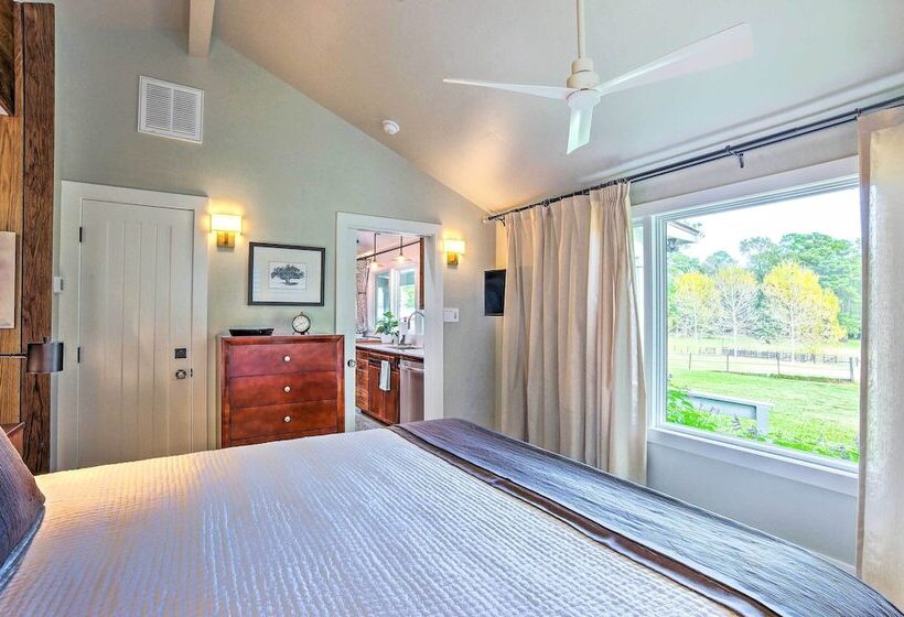 Stunning Willis Cottage On 12 Acres Of Land!