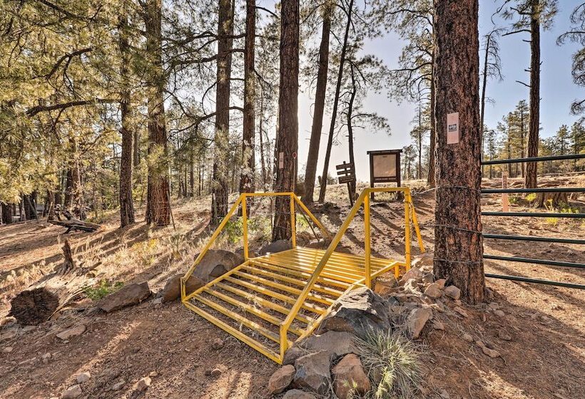 Munds Park Cabin W/ Poker Room & Wraparound Deck!