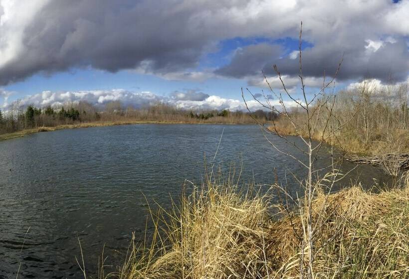 800 Acre Au Gres Oasis: 2 Ponds + Atv Trails!