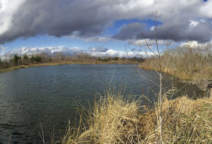 800 Acre Au Gres Oasis: 2 Ponds + Atv Trails!