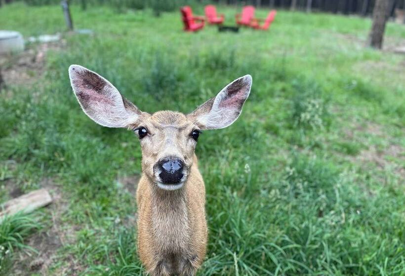 Angel Fire Retreat W/ Deck, Fire Pit: Ski & Hike!