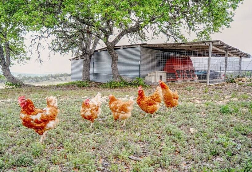 Center Point Countryside Cottage W/ Deck, Grill!