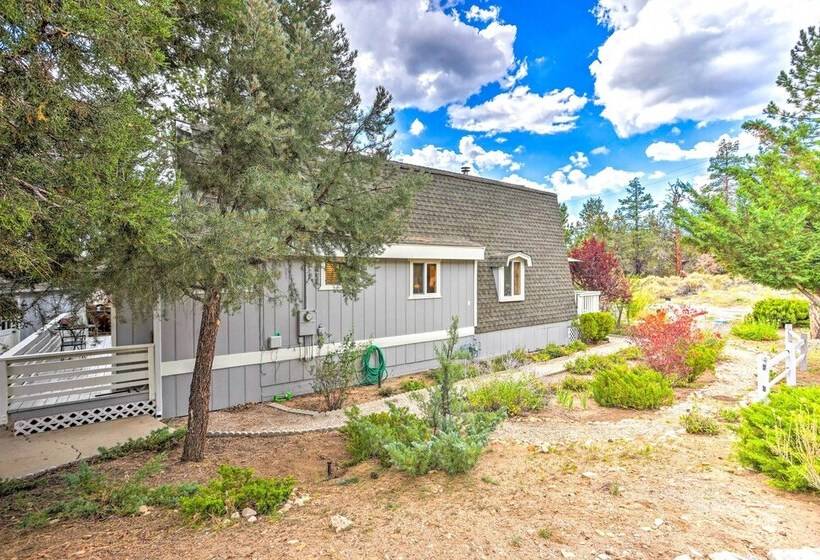 Château Forêt  In Big Bear W/ Hiking Trail Access