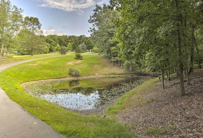 Creekside Berkeley Springs Cabin On 35 Acres!