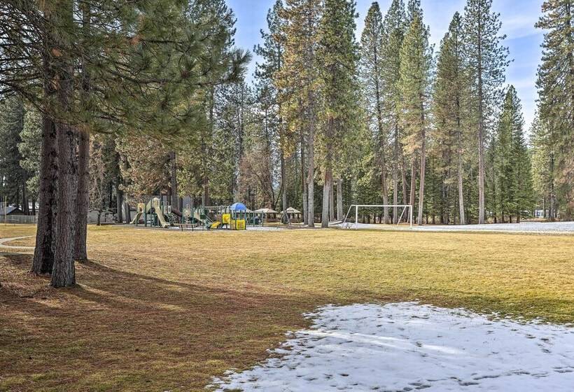 Downtown Cabin < 10 Miles To Mt Shasta Ski Park!