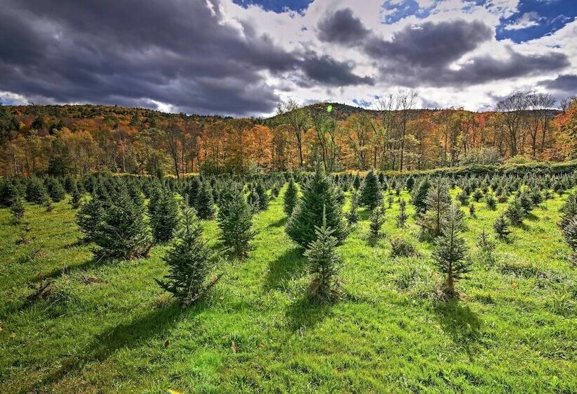 Historic Chester House 10 30 Mins To 5 Mountains!