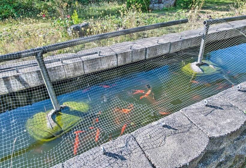 Hood Canal Home W/ Hot Tub   Bordering Olympic Np!