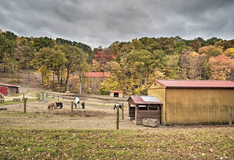 Rustic  Clint Eastwood  Ranch Apt By Raystown Lake