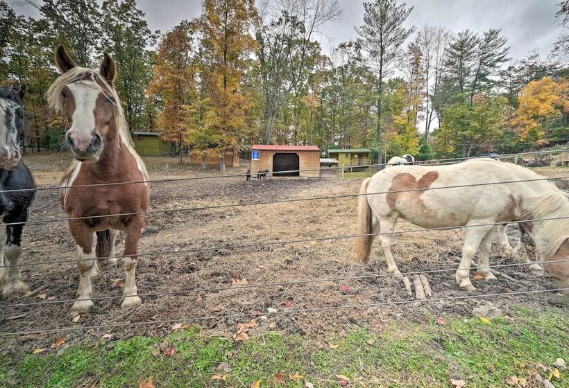Rustic  Clint Eastwood  Ranch Apt By Raystown Lake