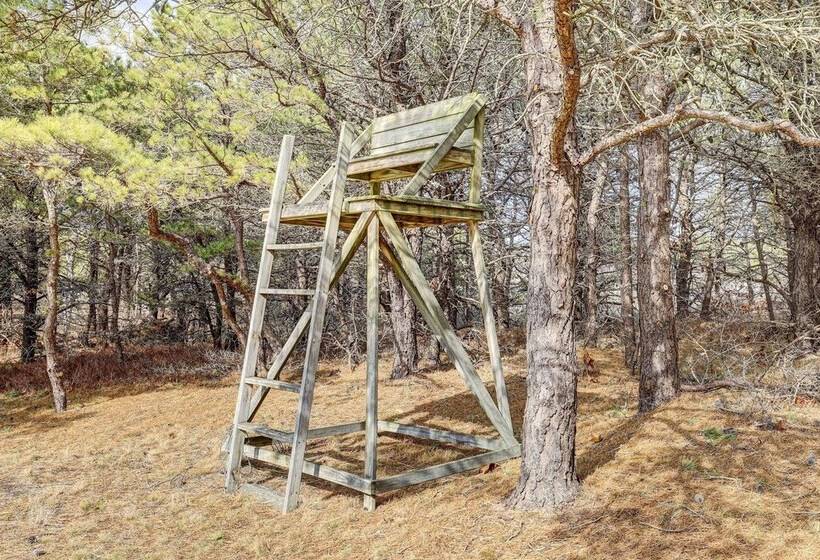 Serene Cape Cod Retreat   Walk To Bay!