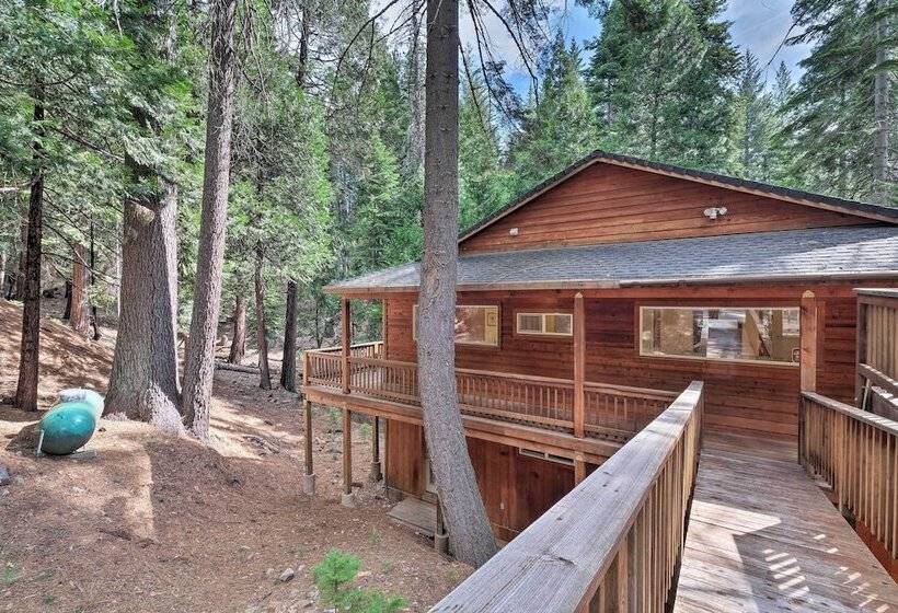 Walk To Big Trees State Park: Cabin W/ Deck!