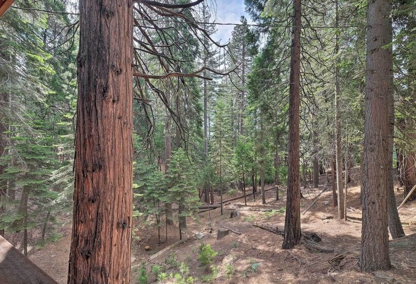 Walk To Big Trees State Park: Cabin W/ Deck!