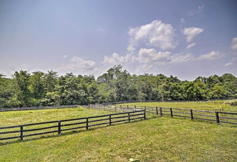 Spacious Mountain Home: Family, Pet & Wfh Friendly