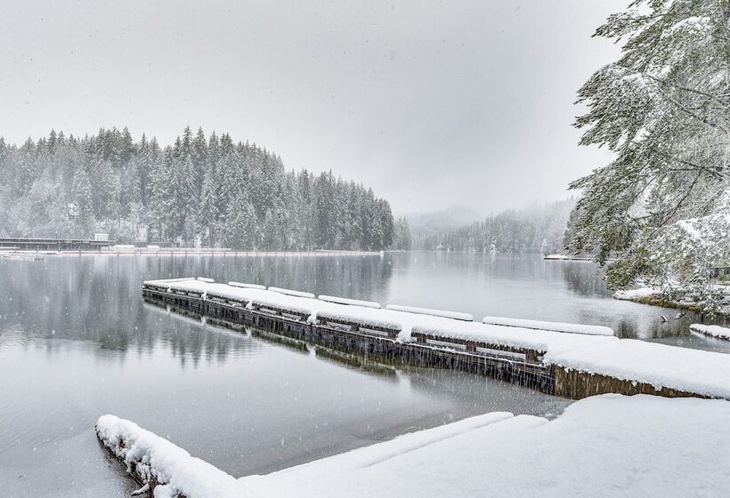 Awesome Hoodsport Cabin   Nearby Hiking Areas