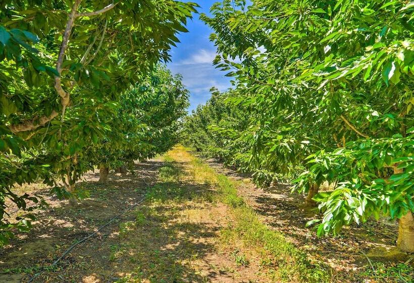 Charming Lodi Retreat: Walk To Local Wineries